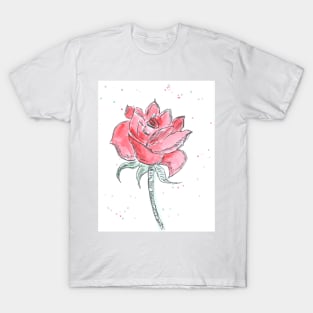 Red beautiful flower rose, plant, nature. Watercolor, art decoration, sketch. Illustration hand drawn modern painting T-Shirt